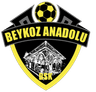 Beykoz Anadolu - Team Beykoz Anadolu 316903 Football Live Score