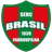 Brasil Farroupilha Women - Team Internacional Women 298497 Football Score