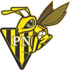 Progres Niedercorn - Player V Peugnet 250943 313263 Live