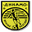 Dinamo Vranje - Player Nikola Stevanovi 219541 300293 Football Live