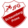 Schaumberg Prims U19 - Team Vfb Stuttgart U 308859 Result