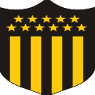 U20 Copa Libertadores winner - Player Santiago Damin Homenchenko Bianchi 824255 298609 Results