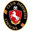 Deportes Limache - Player Mario Sandoval 478966 303610 Live