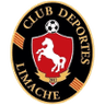 Deportes Limache - Team Deportes Limache 303610 Live