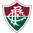 Fluminense SC - Live Team Blumenau Ec 335553