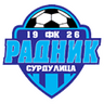 Radnik Surdulica - Team Radnik Surdulica 314653 Results