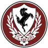 Arezzo - Team Palermo 304109 Football Result