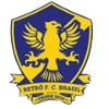 Retro FC Brasil - Bahia VS Retro Fc Brasil Live Score Today