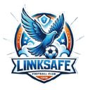 Ji'nan Linksafe - Longsheng VS Jinan Linksafe Sport