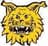 Ilves Tampere Women - Player Victoria Veber 952570 299963 Football Live