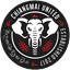 Chiangmai United FC - Thai T 32415 Football Live Score