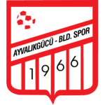 Ayvalikgucu Belediyespor - Player Cagatay Vatan 212243 322337 Football Result