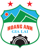 Hoang Anh Gia Lai - Lai VS Shb Da Nang Result Today