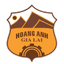 Hoang Anh Gia Lai - Vie National Champion League 32441 Scores