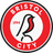 Bristol City - Player C Larin 201519 300615 Scores