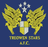 Treowen Stars - Team Ammanford 319098 Football Live Score