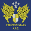 Treowen Stars - Wal Cymru Championship 33346 Football Live Score