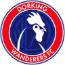 Dorking - Team Dorking 312114 Scores