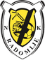 Radomlje - Team Radomlje 301177 Scores