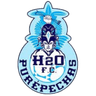 H2O Purepechas FC - Team Reboceros De La Piedad 315340 Football Live
