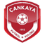 Cankaya FK - Tur Third League 32078 Result