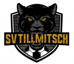 SV Tillmitsch - Player Patrick Krenn 477679 301845 Schedule