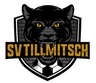 SV Tillmitsch - Team Skn Stpolten 301939 Schedule