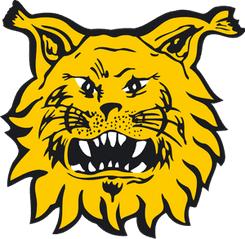 Ilves Tampere - Player Thytonen 541591 300267 Live Result