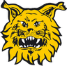 Ilves Tampere - Team Fc Differdange 302331 Live Result
