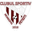 CSM Fetesti - Rom Cup 32032 Football