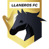 Llaneros FC - Team Deportivo Pereira 307395 Live Score Today