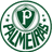Palmeiras FC(U17) - Por Juniores B 31917 Football