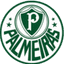Palmeiras FC(U17) - Por Juniores B 31917 Football