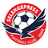 SP Falcons - Team Manila Digger Fc 302781 Scores