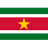 Suriname - Team Canada 1334 Volleyball Score