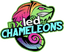 Nxled Chameleons Women - Team Nxled Chameleons Women 4804 Volleyball