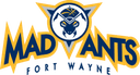 Indiana Mad Ants - National Basketball Association