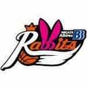 BB Albirex Niigata Rabbits Women - Japan Wjbl Mitsubishi Electric Dolphins Women Vs Bb Albirex Niigata Rabbits Women Basketball Live Score