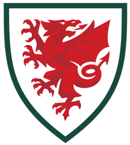 Wales - Player Daniel James 217514 311686 Results