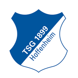 TSG Hoffenheim II - Player Jdedic 1450983 302765 Football Result