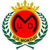 Montijo - Linensebra Vs Montijo 846120 Live