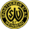 SV Weinberg Women - Women VS Nurnberg Women Live Score Today