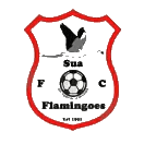 Sua Flamingoes - Player Thalefo Molebatsi 638763 355941 Football