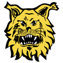 Ilves Tampere II - Ii VS Jakobstads Bollklubb Live