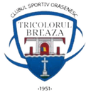 CS Tricolorul Breaza - Popestileordeni VS Cs Tricolorul Breaza Live Score