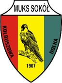 Sokol Kolbuszowa Dolna - Dolna VS Star Starachowice Live Score