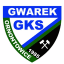 Gwarek Ornontowice - Ornontowice VS Piast Gliwice Youth Sport
