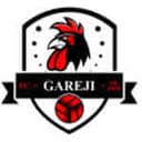 Gareji Sagarejo - Tbilisi VS Gareji Sagarejo Live Score
