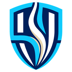 Al-Wakrah Sports Club - Live Player Aladouni 217244 313367