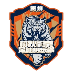Guizhou Xufengtang - Player Qwang 600893 298638 Football